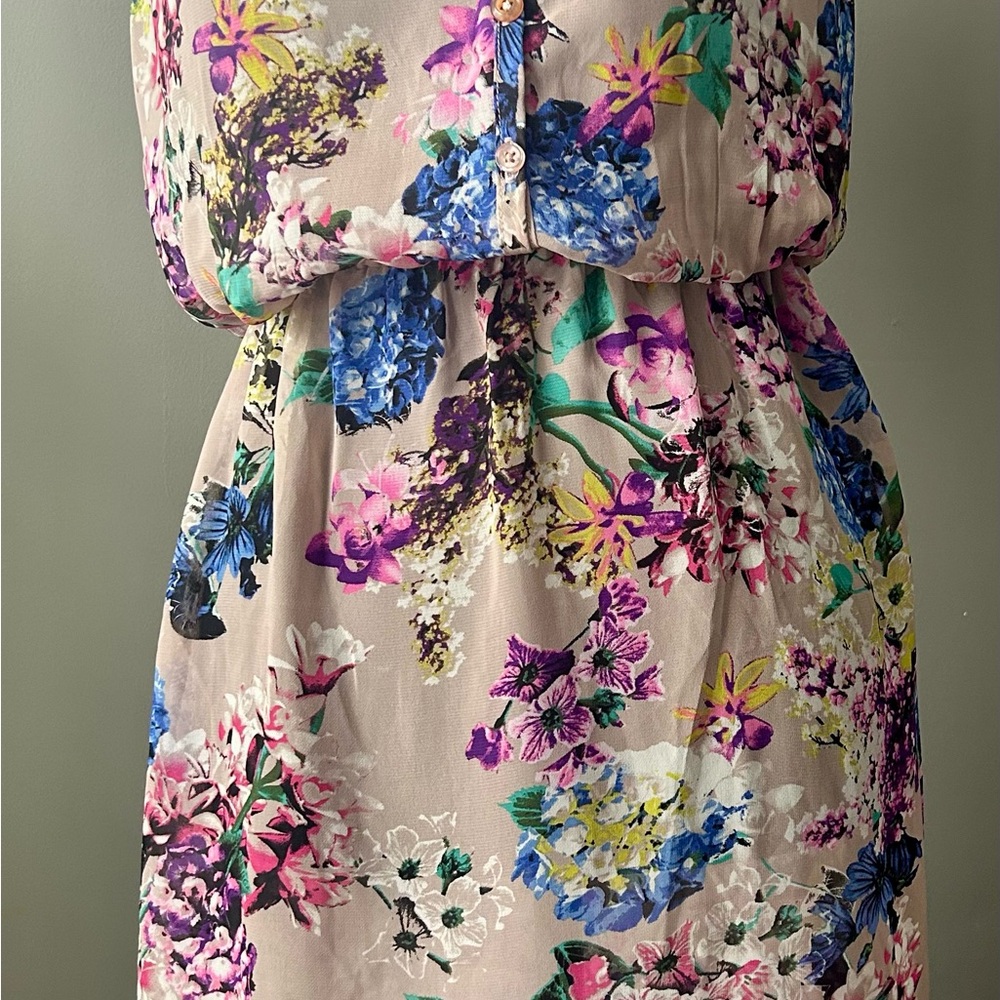 Floral Multicolor Sheer  Dress